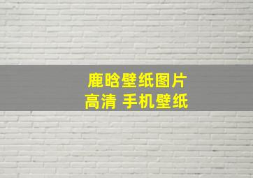 鹿晗壁纸图片高清 手机壁纸